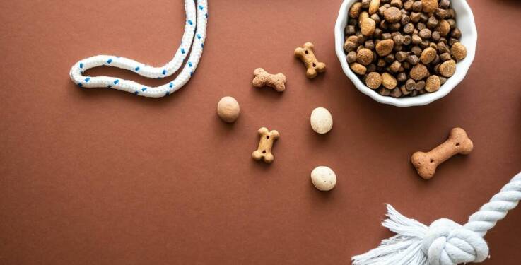 Rola zwierzęcego białka w karmach dla psa i kota od producenta