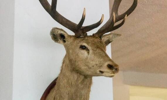 Historia i tradycje strzelectwa w lokalnym strzeleckim klubie