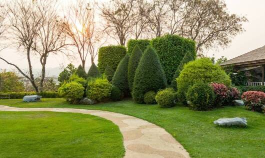 Projektowanie ogrodów z lasem sosnowym: jak wprowadzić naturę do przestrzeni życiowej?