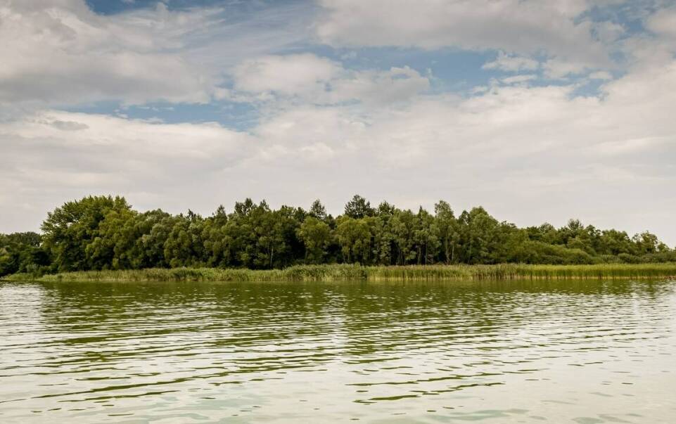 Jak zorganizować idealny spływ kajakowy dla grupy przyjaciół w Olsztynie?