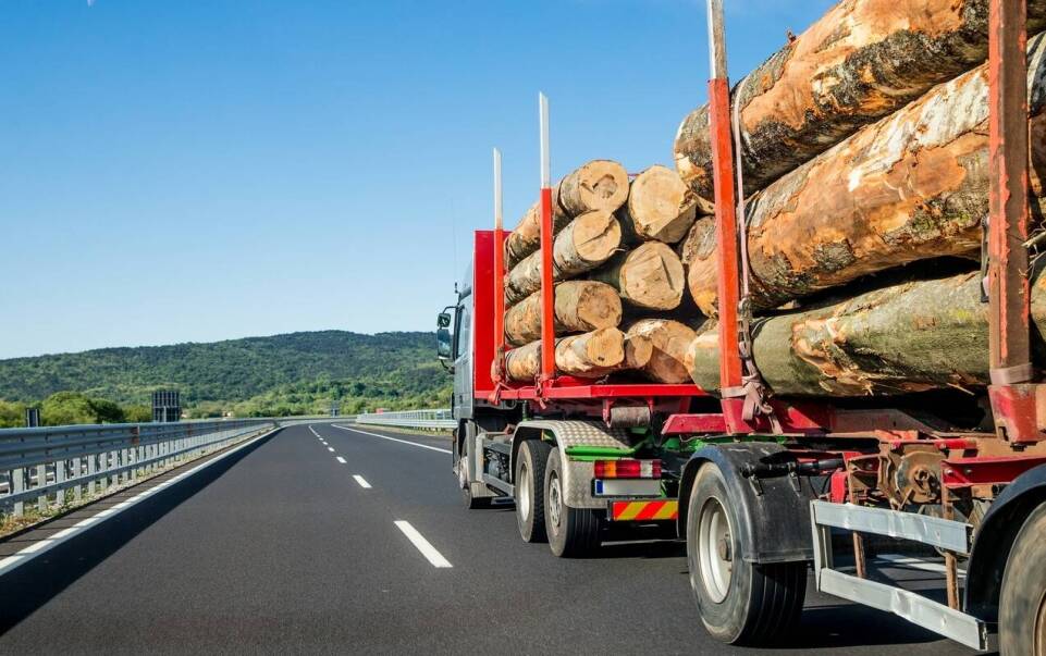 Wpływ nowoczesnych technologii na organizację transportu dłużycowego