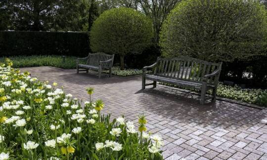 Planowanie układu ogrodu – jak zapewnić spójność aranżacji?