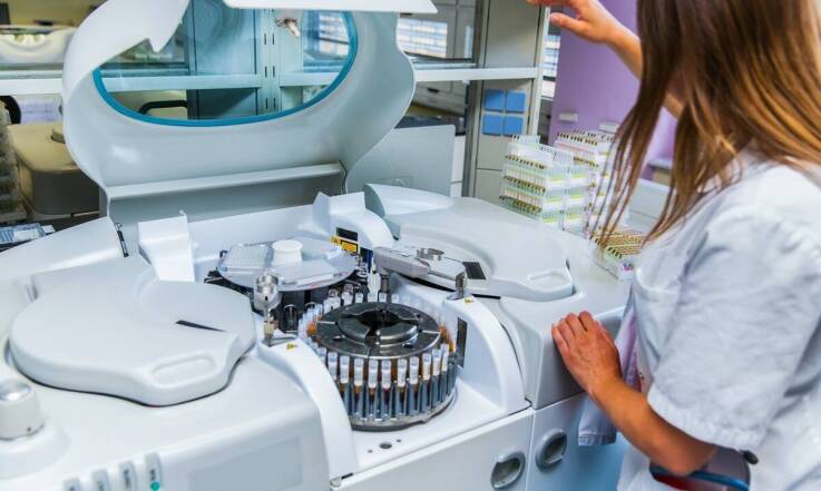 Co naprawdę pokazują badania laboratoryjne u psa i kota oraz kiedy pomagają wykryć problem wcześniej