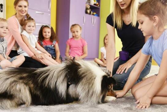 Jak dogoterapia i felinoterapia wspierają kontakt społeczny ucznia z autyzmem podczas zajęć szkolnych