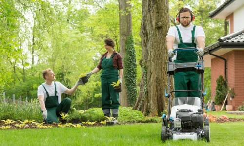 Stała opieka nad ogrodem w Konstancinie-Jeziornie — kiedy zakres prac liczy się bardziej niż jednorazowa wizyta